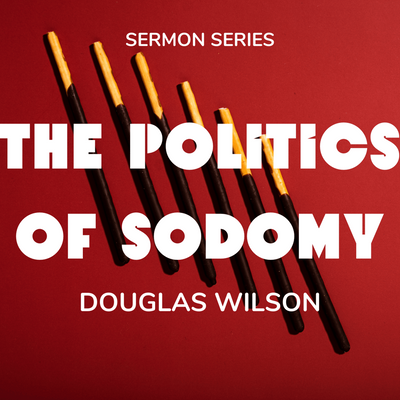 The Politics of S...
