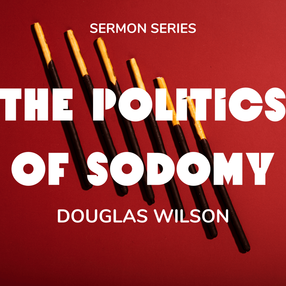 The Politics of Sodomy