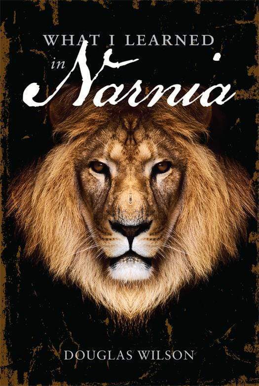 What I Learned in Narnia